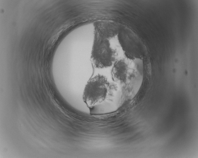 X0000051890687200507081939