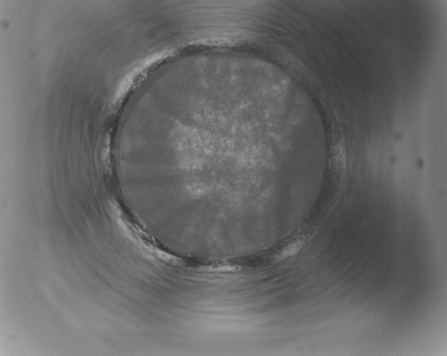 X0000051890688200507081939