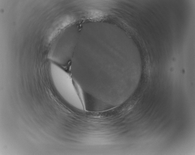 X0000051890689200507081939