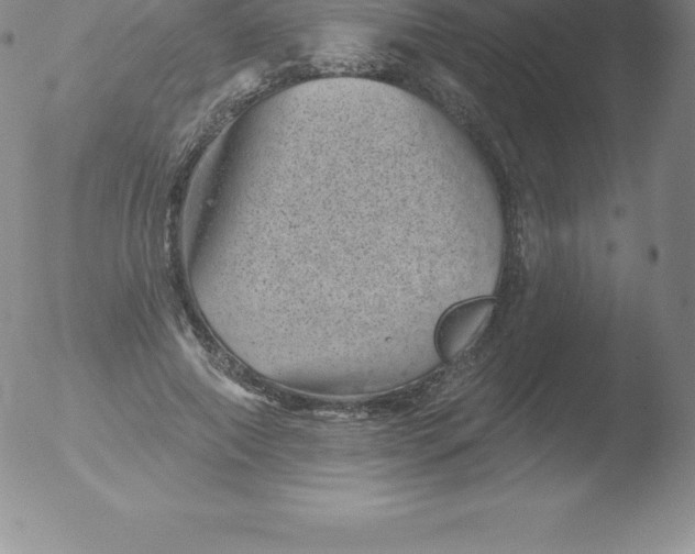 X0000051890690200507081939