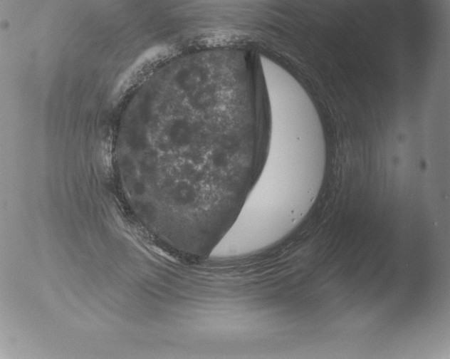 X0000051890691200507081939