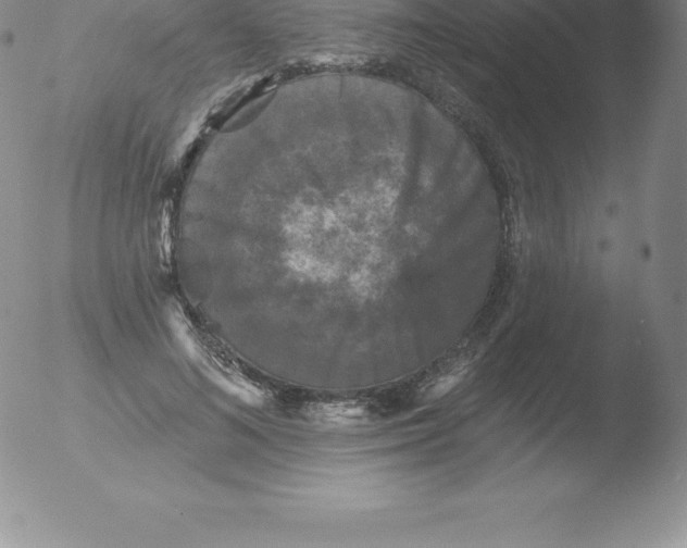 X0000051890692200507081939