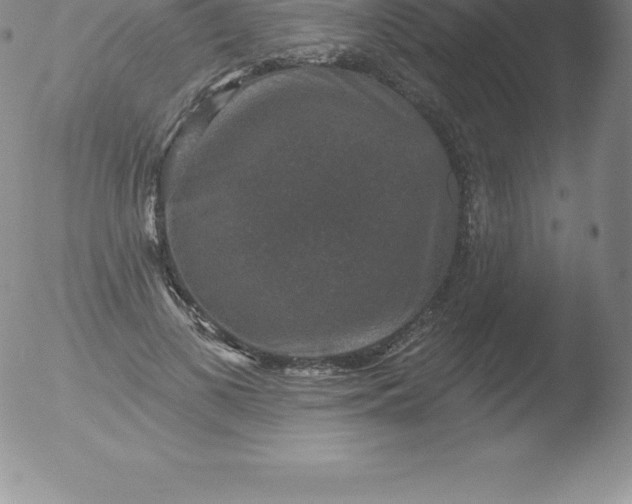 X0000051890693200507081939