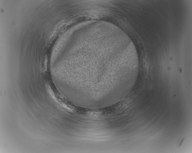 X0000051890694200507081939