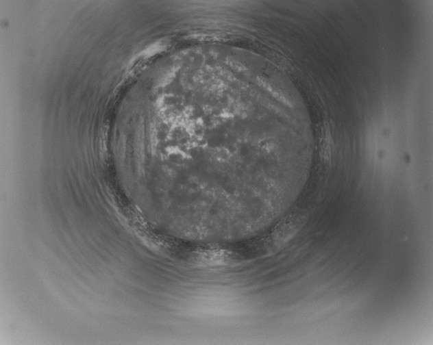 X0000051890695200507081939