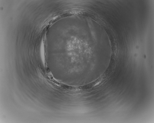 X0000051890696200507081939