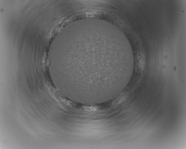 X0000051890698200507081939