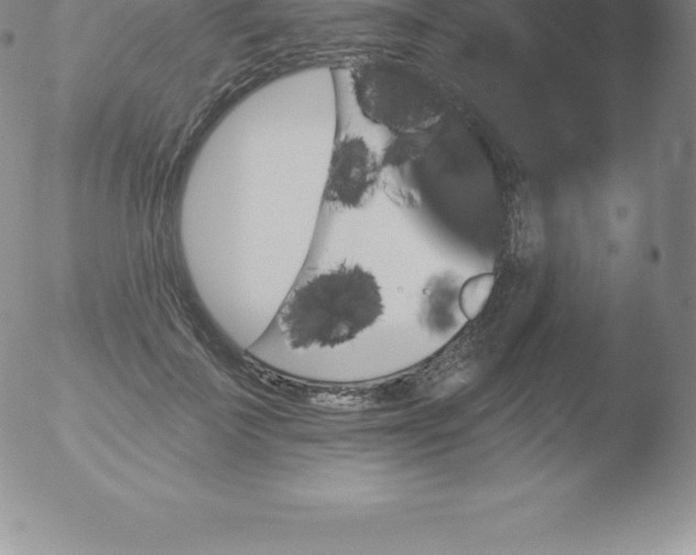 X0000051890699200507081939