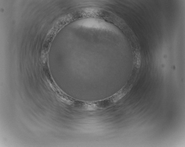 X0000051890701200507081939