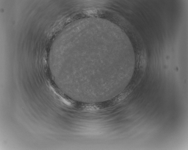 X0000051890702200507081939