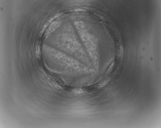 X0000051890704200507081939