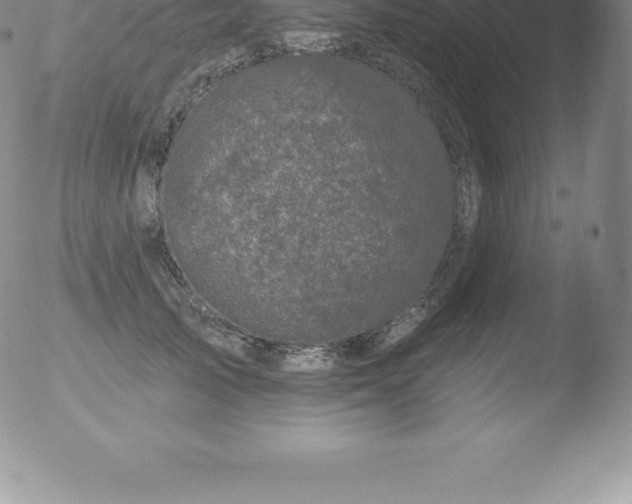 X0000051890705200507081939