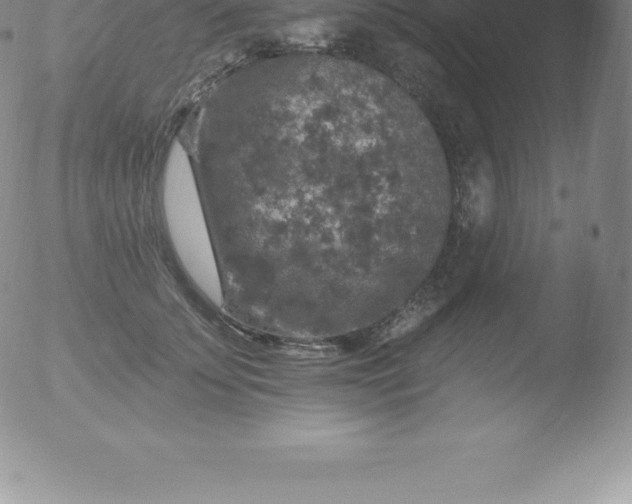 X0000051890707200507081939