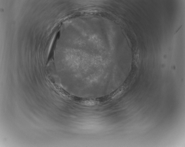 X0000051890708200507081939