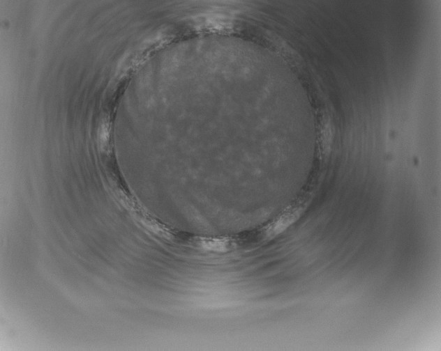 X0000051890709200507081939