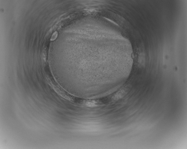 X0000051890710200507081939