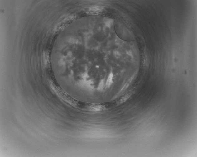 X0000051890711200507081939