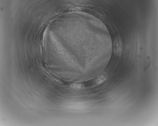 X0000051890714200507081939