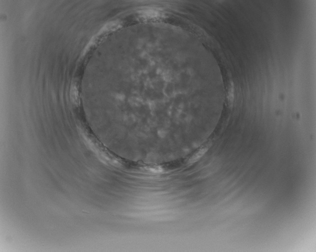 X0000051890715200507081939