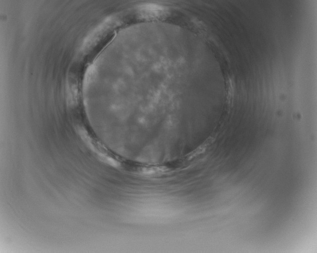 X0000051890716200507081939