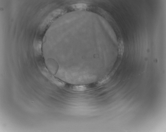 X0000051890717200507081939