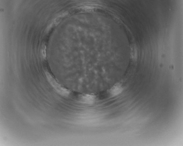 X0000051890718200507081939