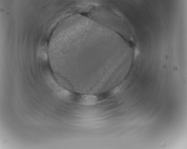 X0000051890719200507081939