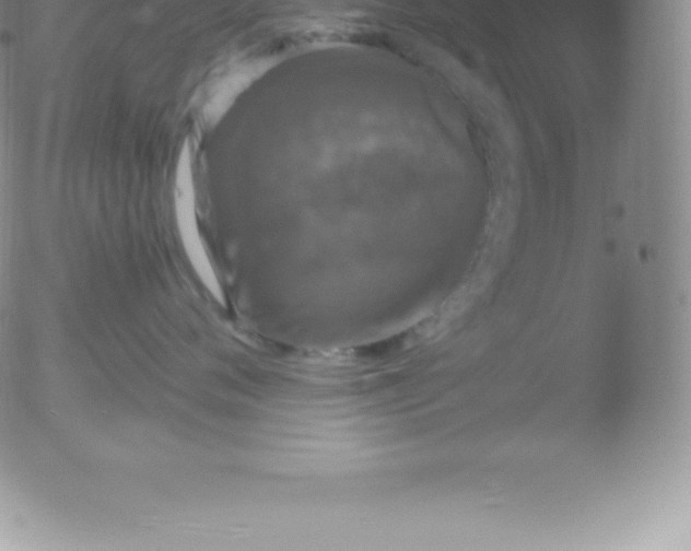 X0000051890720200507081939