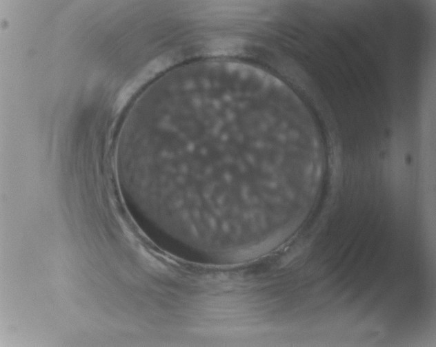 X0000051890721200507081938