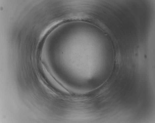 X0000051890722200507081938