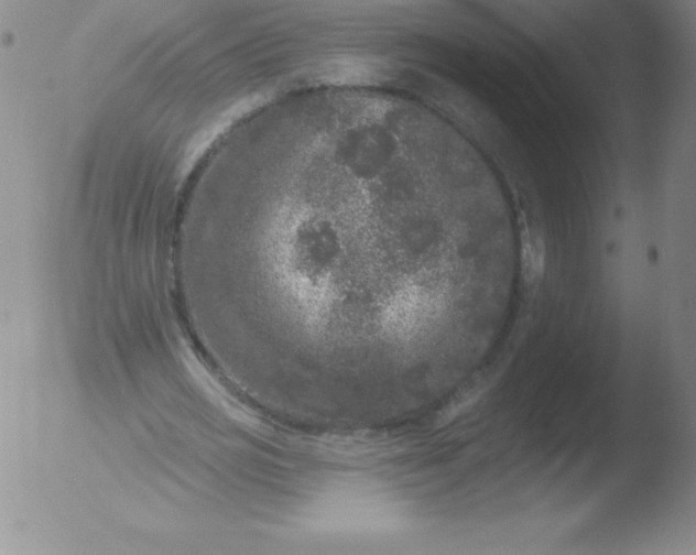 X0000051890725200507081938