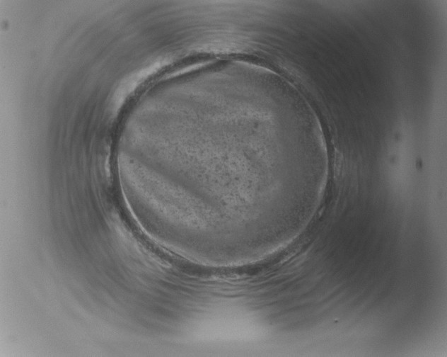 X0000051890727200507081938