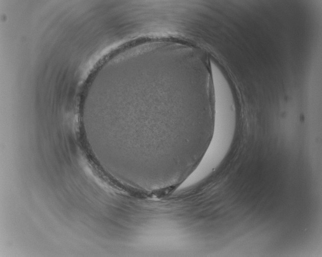 X0000051890728200507081938