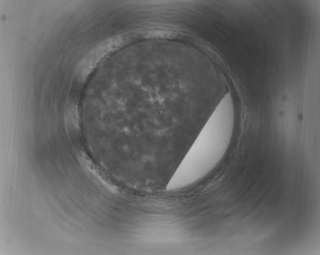 X0000051890729200507081938