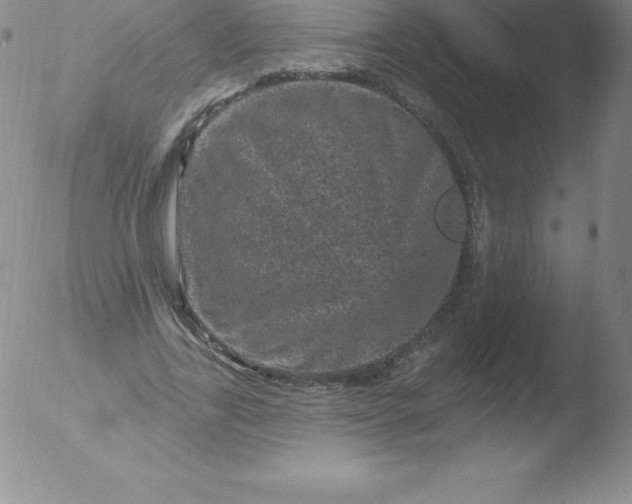 X0000051890731200507081938