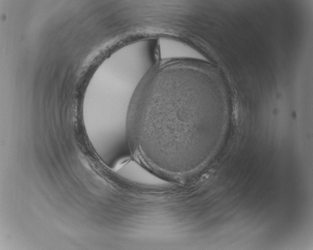 X0000051890732200507081938