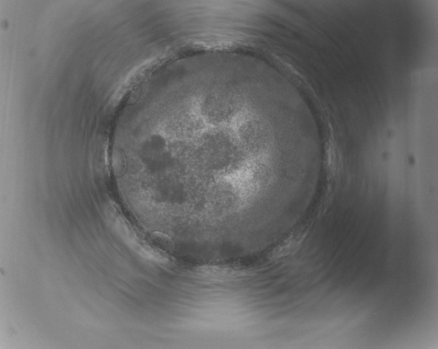 X0000051890733200507081938