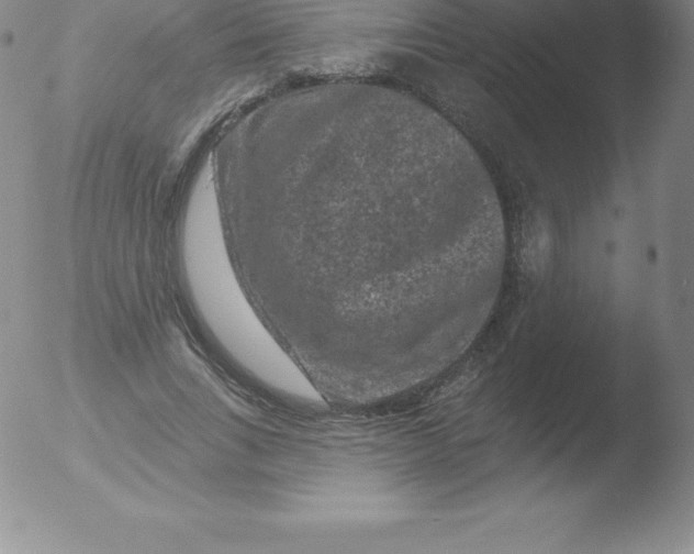 X0000051890735200507081938