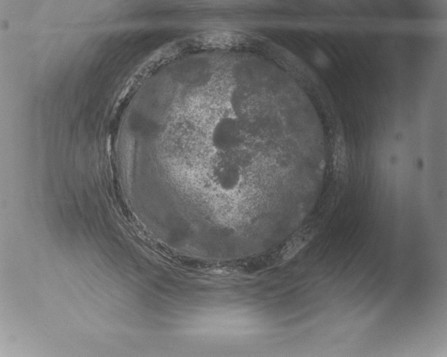 X0000051890737200507081938