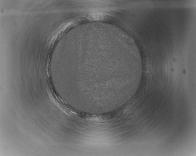 X0000051890738200507081938