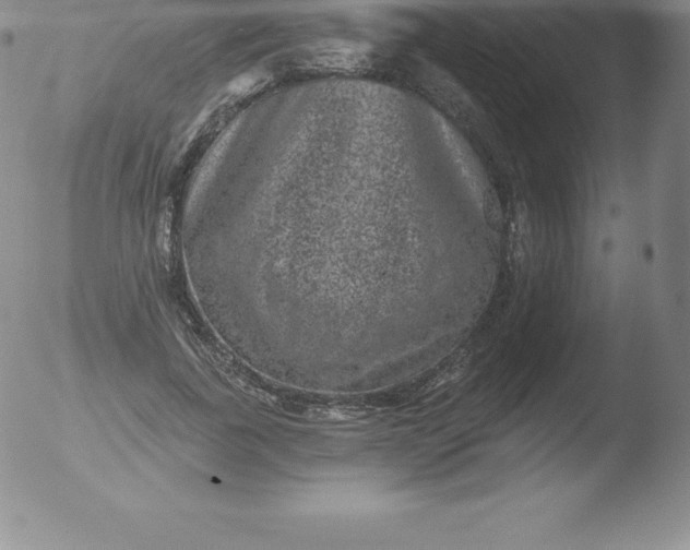 X0000051890739200507081938