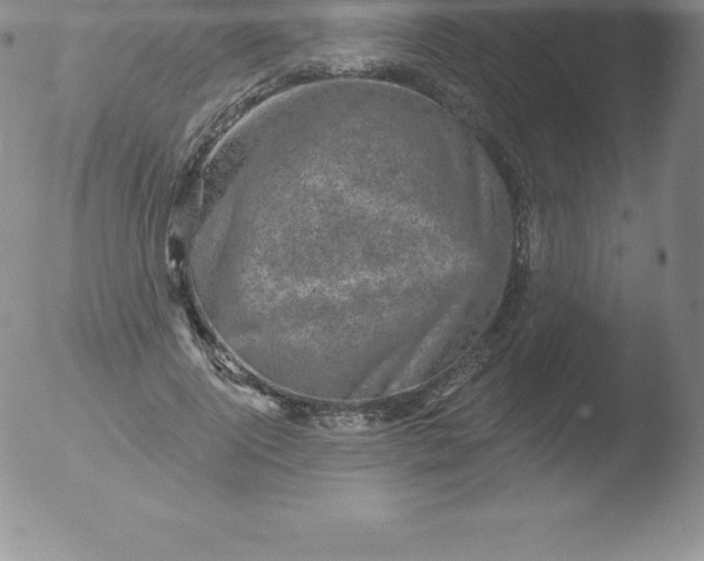 X0000051890740200507081938