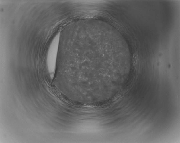 X0000051890741200507081938