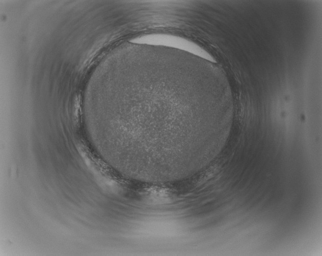 X0000051890742200507081938