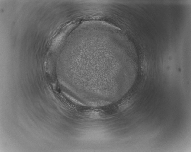 X0000051890743200507081938