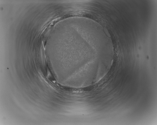 X0000051890744200507081938