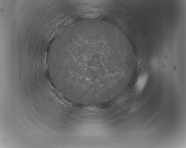 X0000051890745200507081938