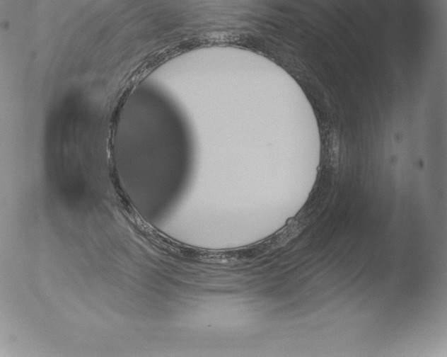 X0000051890746200507081938