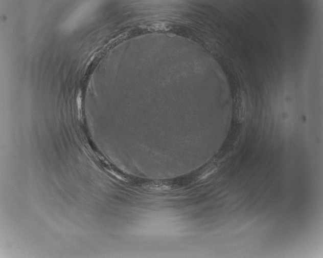 X0000051890747200507081938