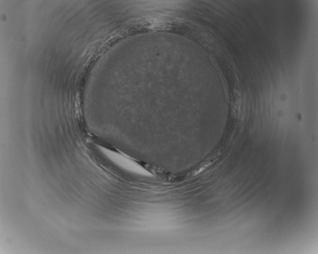 X0000051890748200507081938